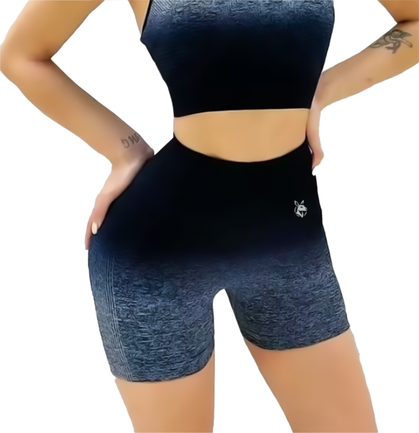Gradientrise Seamless